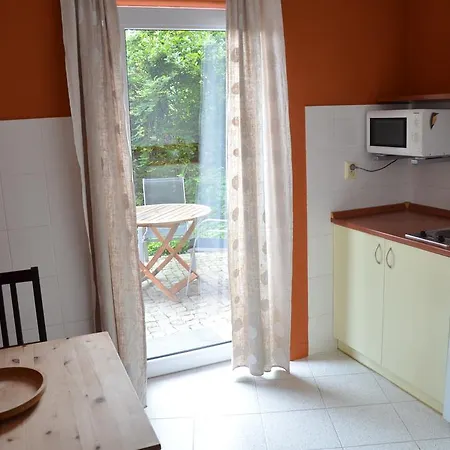 Homestay Srdce Vltavy *